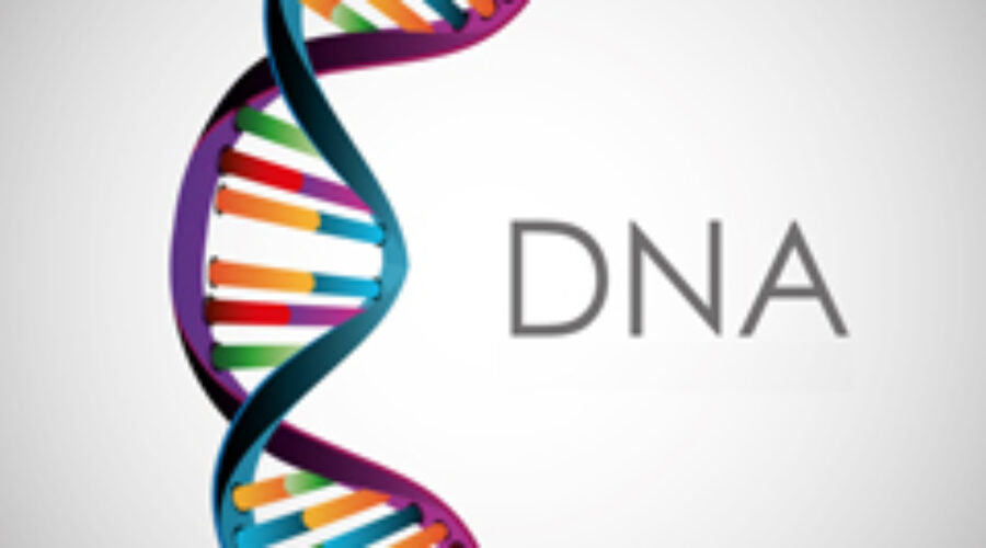 DNA – Acido desossiribonucleico