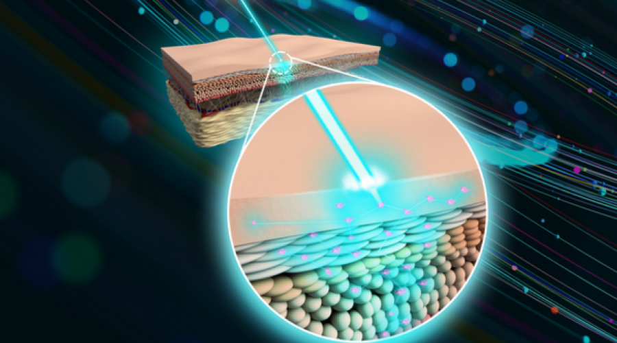 Nanodiamanti come navette, traghettano farmaci attraverso la pelle