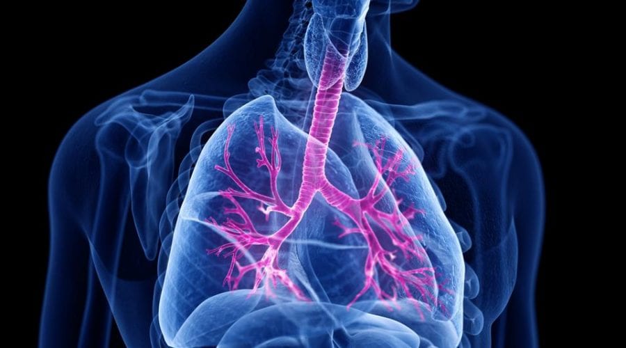 Come funziona il trapianto di polmoni