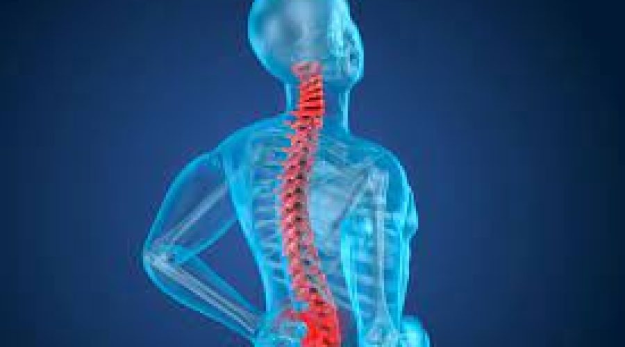Lesione spinale: individuati i circuiti neurali che ripristinano la deambulazione
