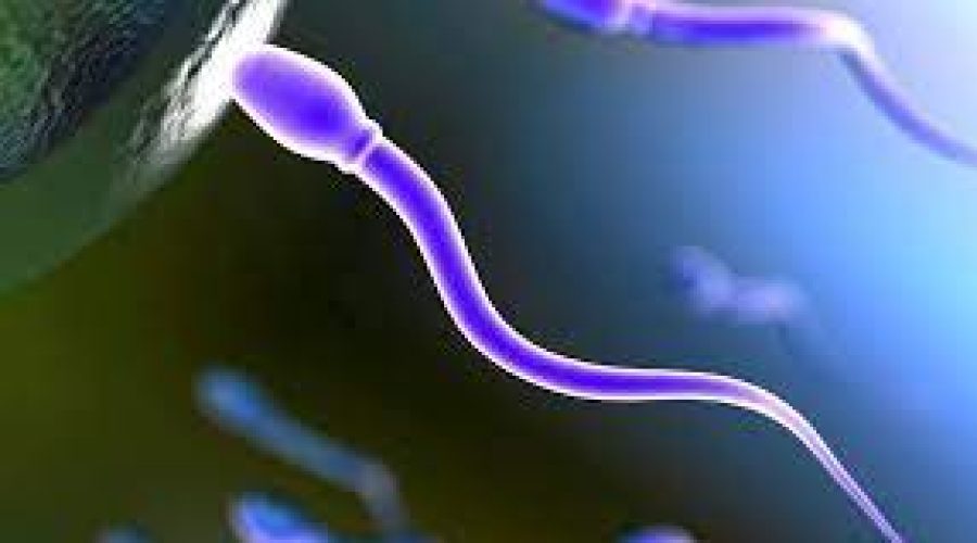 Rilevate microplastiche nello sperma umano. Studio presentato al Congresso S.I.R.U.