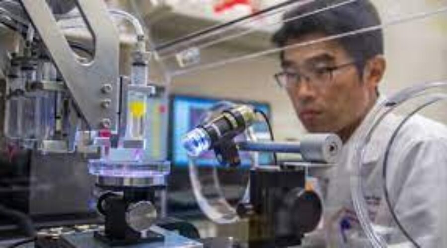 Stampa biologica 3D apre nuove frontiere allo studio dei microorgani in laboratorio
