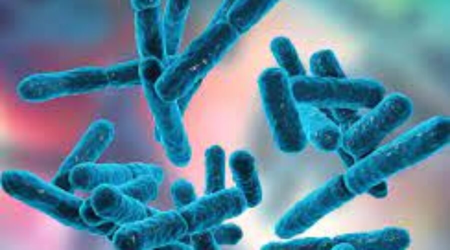 Meccanismo d’azione dei probiotici su microbiota della pelle