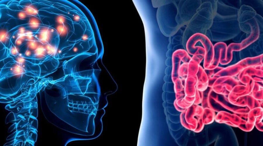 Malattie neurodegenerative: la profonda connessione tra microbiota e cervello