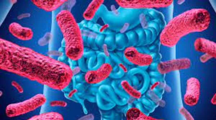 Il microbiota può potenziare l’immunoterapia oncologica: lo studio di IRCCS Istituto Clinico Humanitas