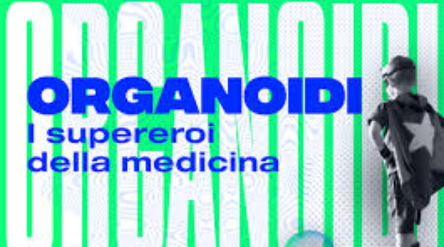 Lo sviluppo di organoidi riflette le patologie cardiovascolari: gli epicardiodi