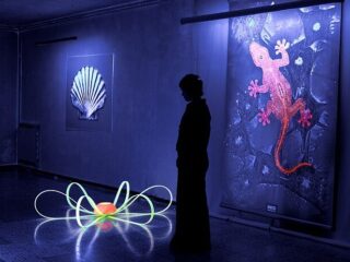 Fluorescenza-640×462-1