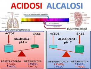 acidosi-alcalosi-metabolica-respiratoria-300×227-1