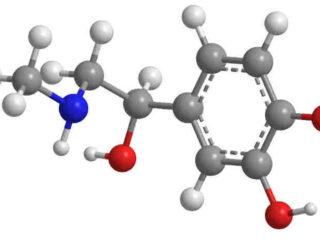 adrenalina-molecola-700×462-1