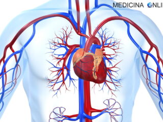 arterievene