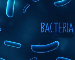 bacteria-1