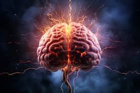 brain