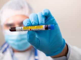 dengue-700×462-1