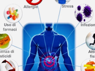 disbiosi-750×462-1