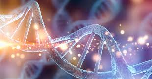 dna-a