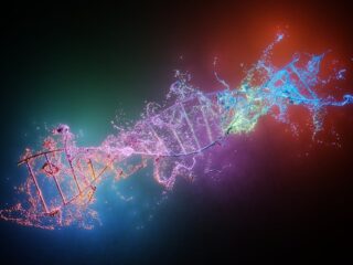 dna-genetica
