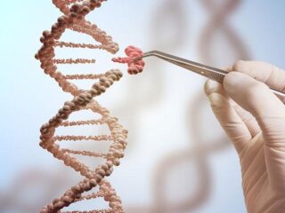 dna-genetica_1498555940