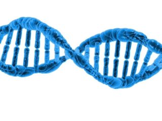 dna-malattia-genetica
