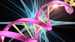 dna-rosa-300×168-1