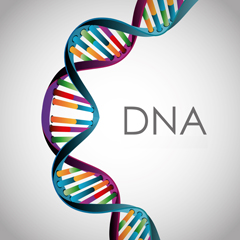 dna