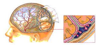 emorragia