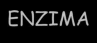enzima