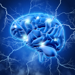 epilessia
