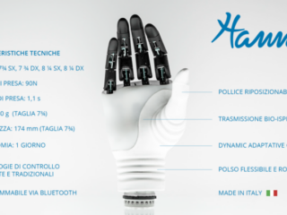 hannes-1-768×462-1