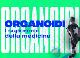 organoidi