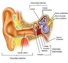 otalgia