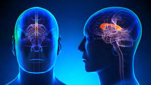 parkinson-a
