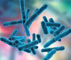 probiotici-a