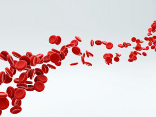 sangue-artificiale