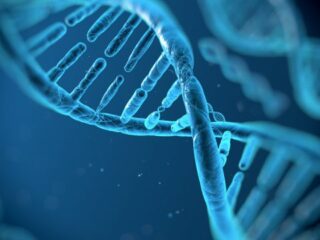 struttura-del-dna-640×360-1