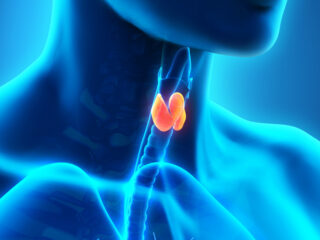 thyroidbig2