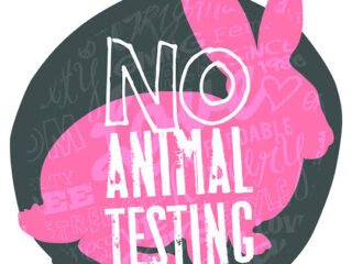 animali